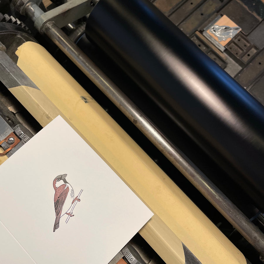 House Sparrow Bird Letterpress Card
