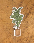 Fiddle Leaf Fig Houseplant Clear Sticker