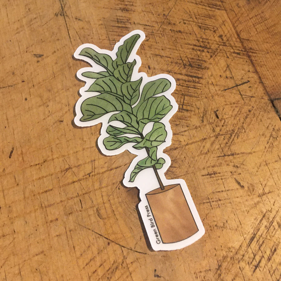 Fiddle Leaf Fig Houseplant Clear Sticker