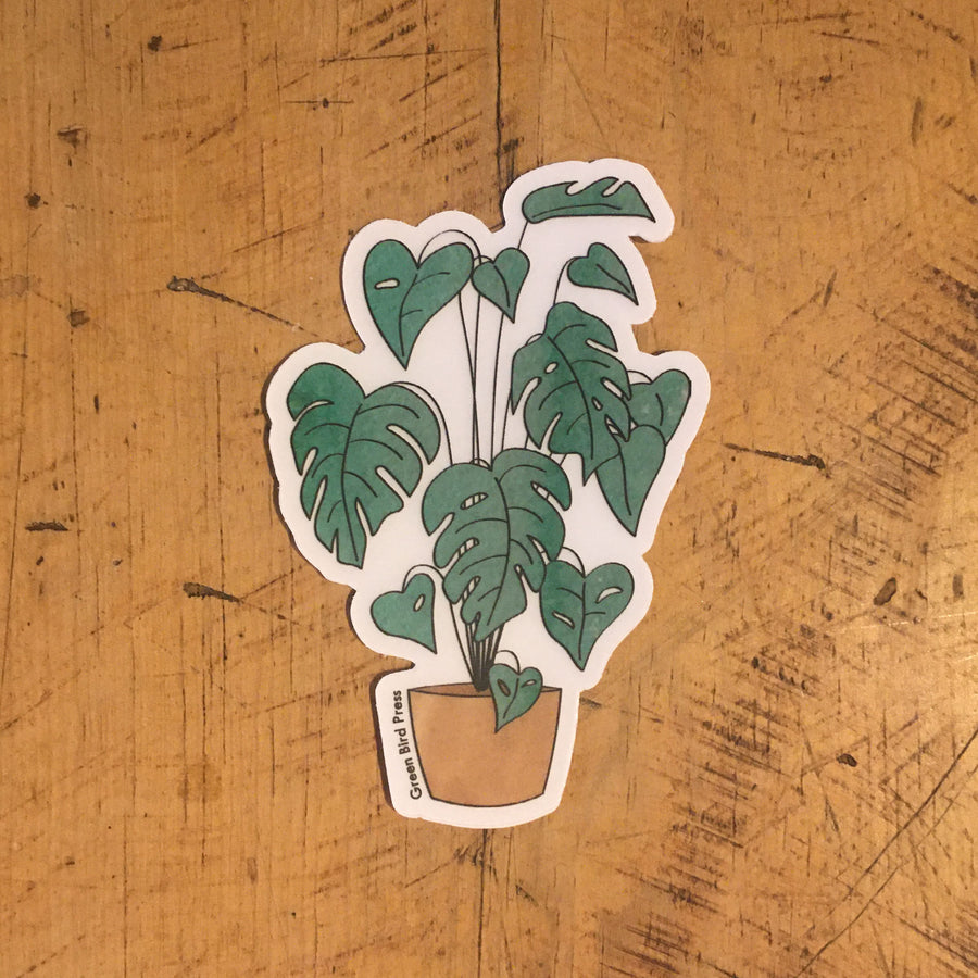 Monstera Houseplant Sticker