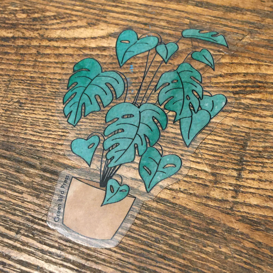 Monstera Houseplant Clear Sticker