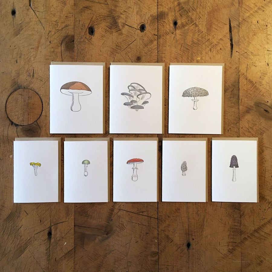 Shaggy Parasol Mushroom Letterpress Card