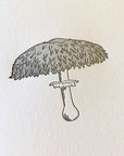 Shaggy Parasol Mushroom Letterpress Card