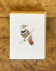 Northern Flicker Letterpress Card