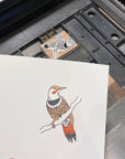 Northern Flicker Letterpress Card