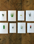 Pencil Cactus Letterpress Card