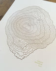 Mount Bachelor Topographic Map Letterpress Print