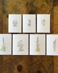 Red Clover Wildflower Letterpress Card