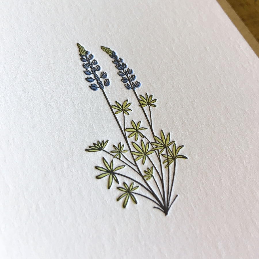 Lupine Wildflower Letterpress Card