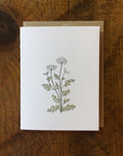 Queen Anne's Lace Wildflower Letterpress Card