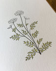 Queen Anne's Lace Wildflower Letterpress Card