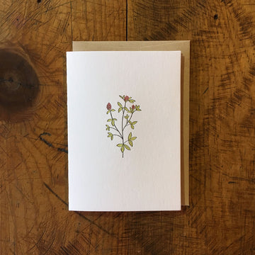 Red Clover Wildflower Letterpress Card